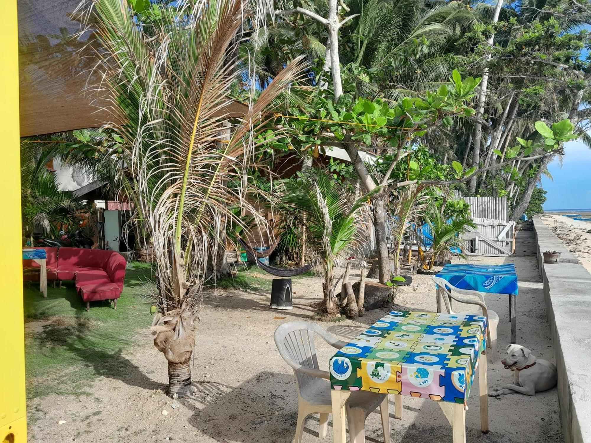 Enrico'S Guesthouse Siquijor Exterior foto
